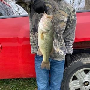 Meet your Posher, Cain